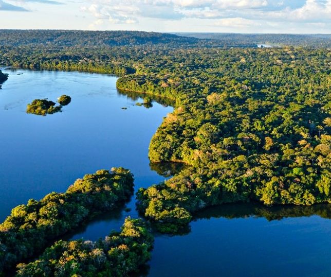 Governo abre edital para enfrentar desmatamento na Amazônia e apoiar agricultura sustentável