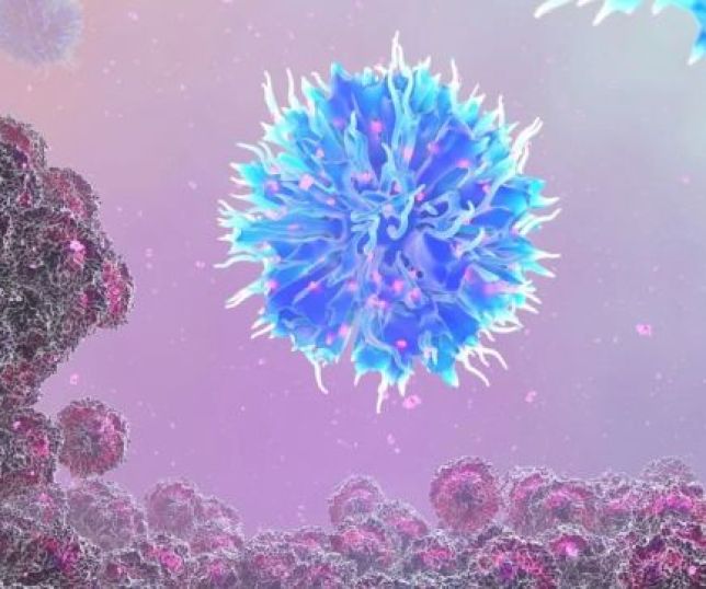 OMS: estudo mostra que quase 40 % dos casos de câncer poderiam ser evitados com mudanças de hábitos