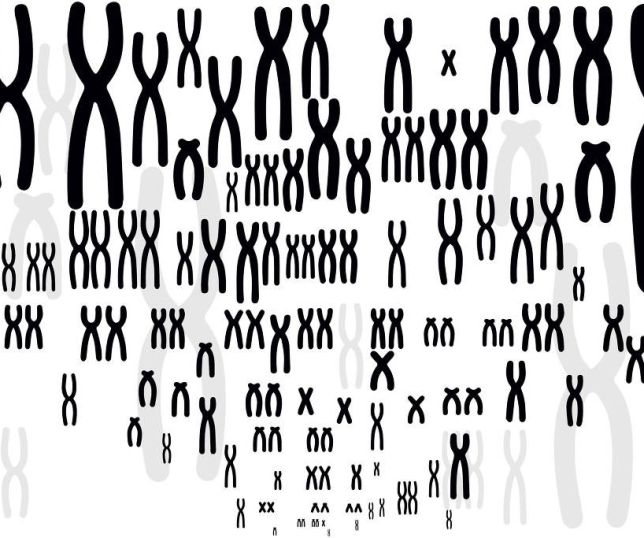 Os jovens já começam a apresentar sinais de uma espécie em extinção