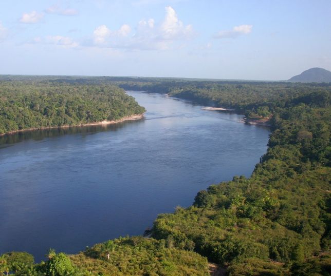 Fapeam e Fapesp recebem projetos de pesquisa sobre valorização da sociobiodiversidade amazônica