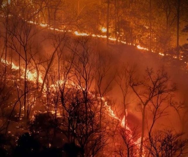 Software projeta efeitos das mudanças climáticas na biodiversidade