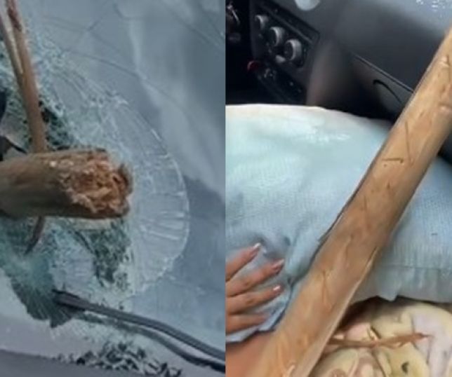 Tora de eucalipto se solta de carreta e atinge carro na BR-101. VEJA VÍDEO