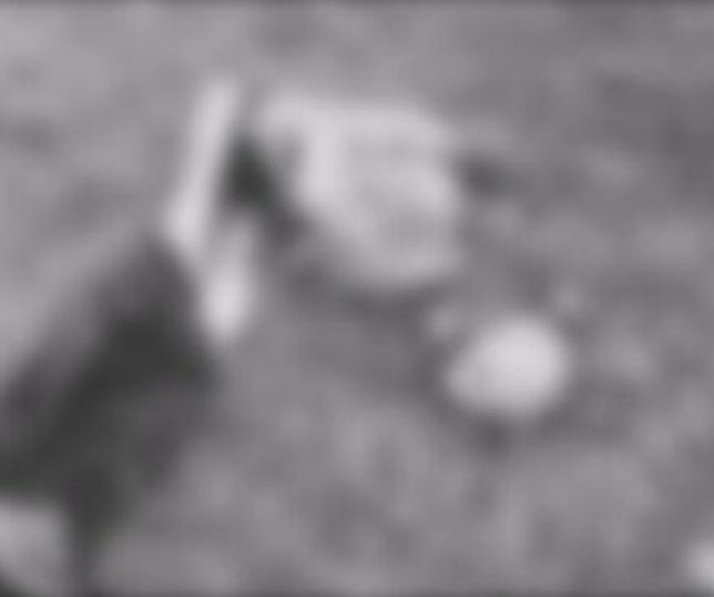 IMAGENS FORTES! Corpo em avançado estado de decomposição é encontrado boiando em Tabatinga, interior do Amazonas. VEJA VÍDEOS