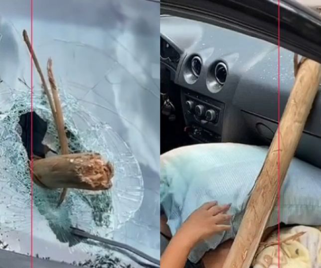 Tronco de eucalipto se solta de carreta, atravessa carro e passageira escapa com vida por milagre. VEJA VÍDEO