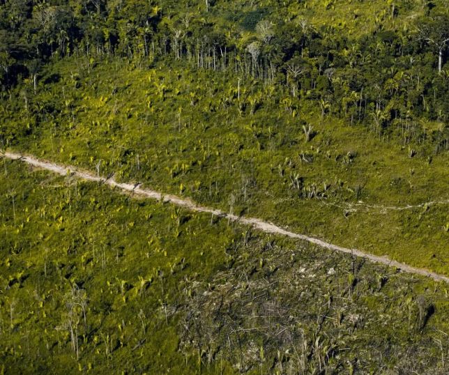 Transparência falha: 40% dos dados ambientais não estavam acessíveis em 2025