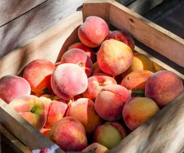 Doce, suculento e poderoso: essa fruta de verão pode fortalecer sua imunidade e até proteger o coração