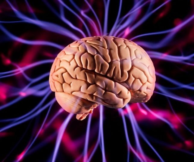 Estímulos no cérebro podem aumentar atitudes de generosidade?