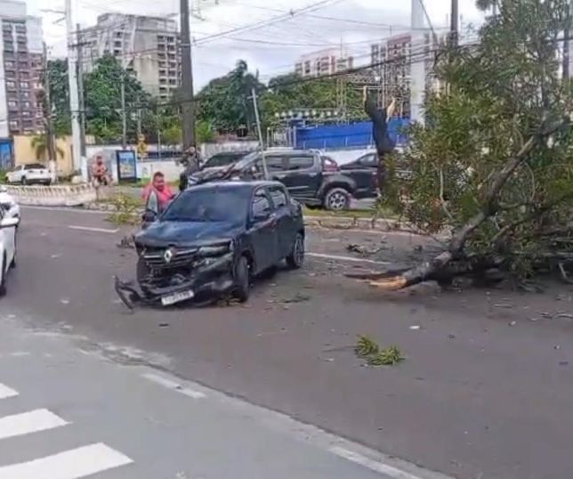 Grave acidente entre veículos destrói árvore em avenida de Manaus. VEJA VÍDEOS
