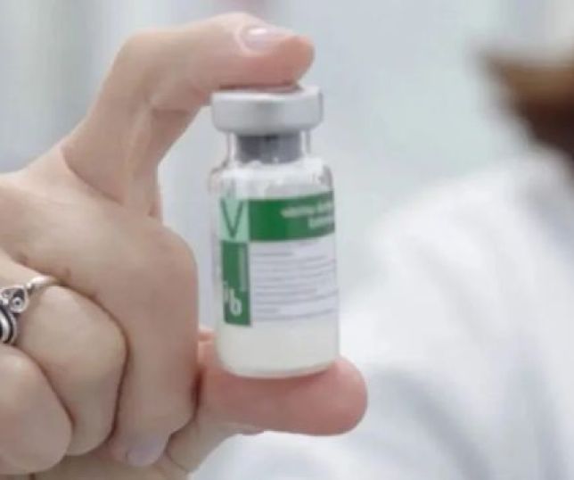 Butantan adianta 1,3 milhão de vacinas contra a dengue ao Ministério da Saúde