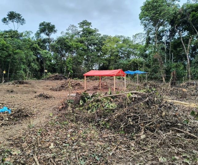 Operação Região Metropolitana 2026 desmobiliza ocupação irregular e embarga área desmatada em Itacoatiara