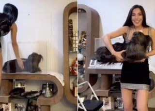 Influencer causa polêmica ao expor corpo de sua cadela morta em caixa de vidro e gera indignação nas redes. VEJA VÍDEO