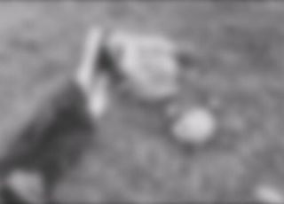 IMAGENS FORTES! Corpo em avançado estado de decomposição é encontrado boiando em Tabatinga, interior do Amazonas. VEJA VÍDEOS