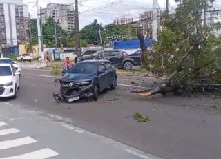 Grave acidente entre veículos destrói árvore em avenida de Manaus. VEJA VÍDEOS