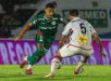 Botafogo-SP surpreende o Palmeiras, vence com um a menos e freia classificação antecipada no Paulistão
