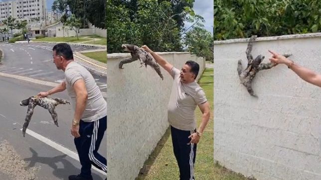 HERÓI DA FLORESTA! ANTÔNIO ZACARIAS ENTRA NO MEIO DA RUA NA PONTA NEGRA E RESGATA BICHO-PREGUIÇA QUE IA SER ATROPELADO. VEJA VÍDEOS