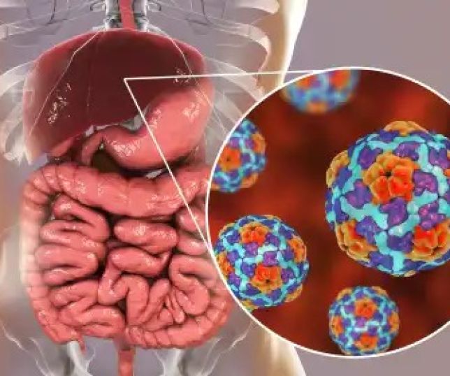 USP identifica ''assinatura genética'' que pode antecipar complicações da hepatite