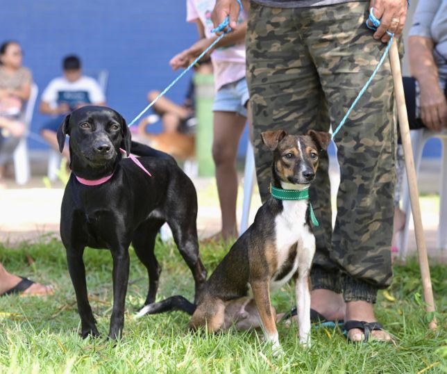Castramóvel da Sepet inicia agendamento para castração de animais no Coroado, Zona Leste de Manaus