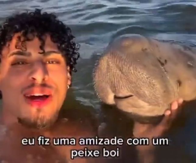 Encontro com peixe-boi viraliza e chama atenção para relação entre humanos e fauna marinha. VEJA VÍDEO