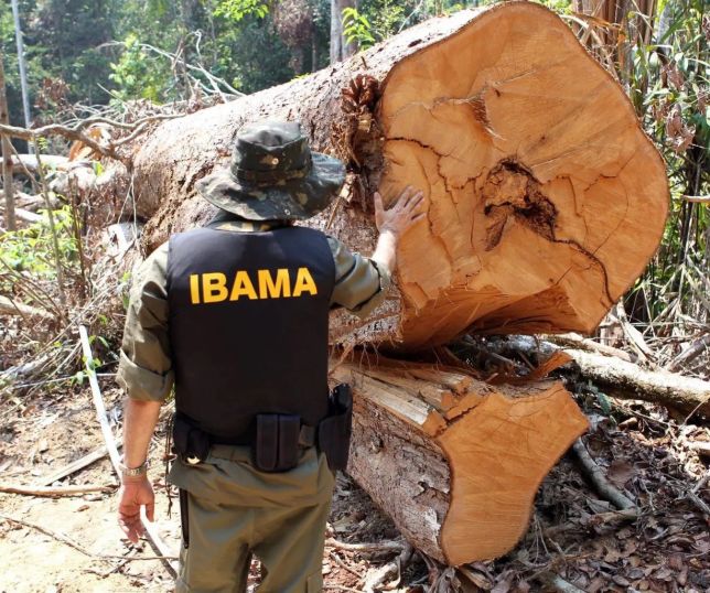 Assédio institucional ameaça ética e funcionamento do serviço ambiental no Brasil
