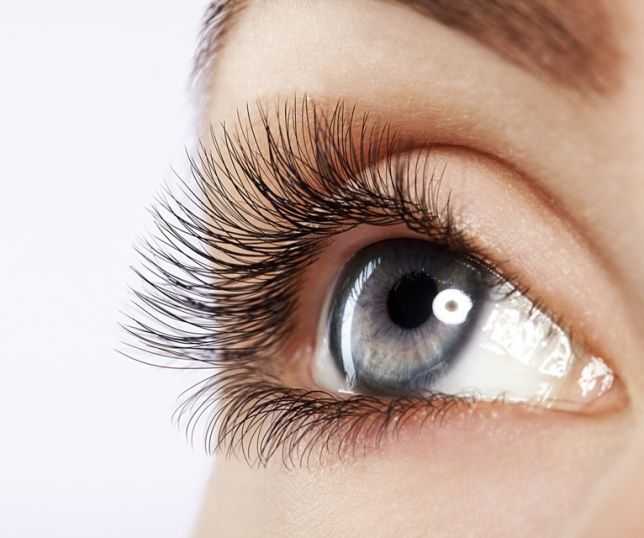 Óleo natural pode ajudar no crescimento e fortalecimento dos cílios; veja como usar