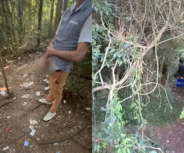 Parque em Curitiba vira alvo de denúncias por práticas sexuais em área pública. VEJA VÍDEO