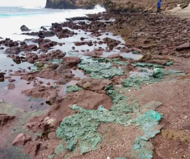 Rochas formadas por plástico são encontradas em ninhos de tartarugas em ilha brasileira