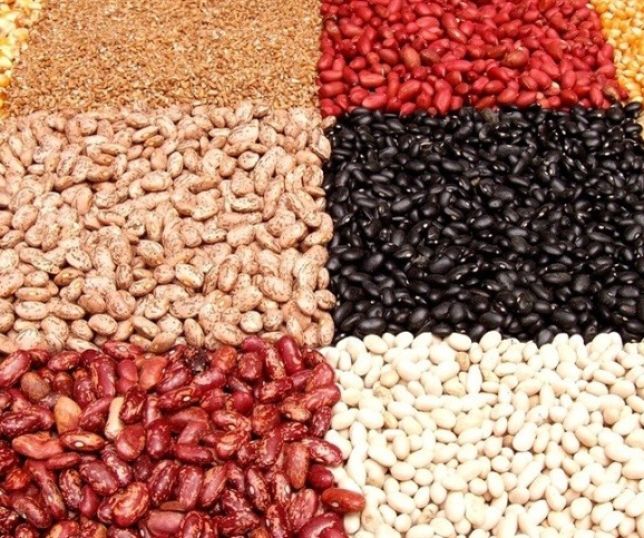 Avanço da safra de feijão pressiona mercado e mantém preços em alta