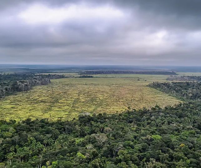Emissões de gases caem em 2024, mas meta climática segue em risco