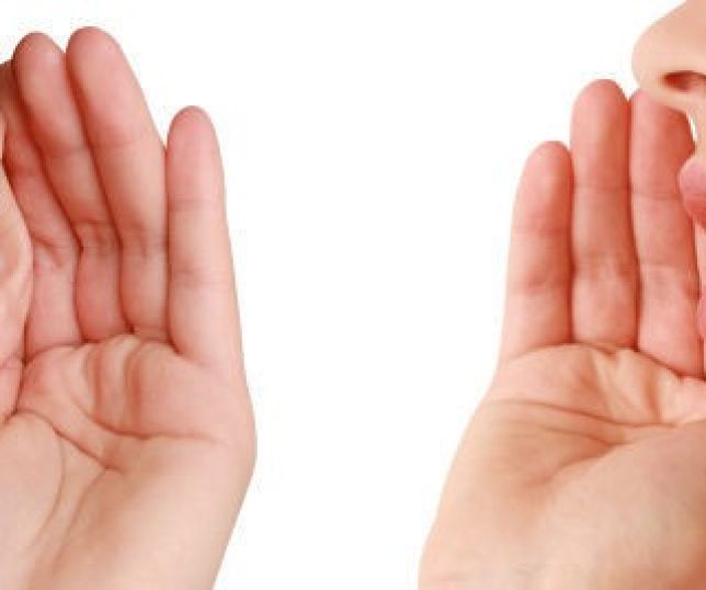 Inteligência social: o poder de ficar quieto e ouvir pode te deixar mais inteligente