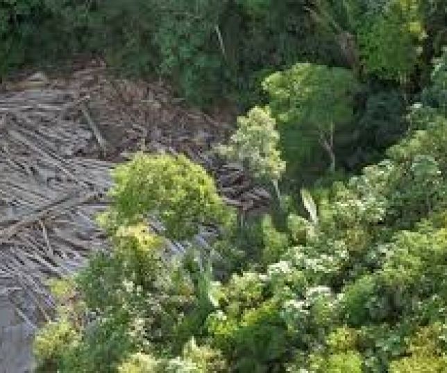 Entidades criticam urgência de projeto sobre crimes ambientais