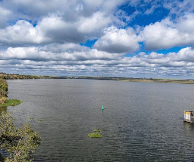 Qualidade da água na Mata Atlântica não avança e número de rios em boas condições despenca