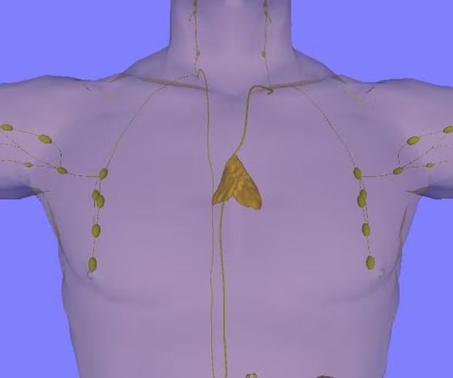 Órgão 'esquecido' do corpo pode estar por trás de câncer e morte precoce e descoberta assusta cientistas