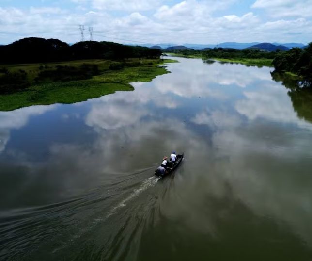 Pantanal amplia proteção e ganha espaço para conservação e turismo