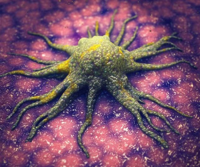 Nova estratégia contra o câncer usa versão rara de aminoácido para frear crescimento de tumores