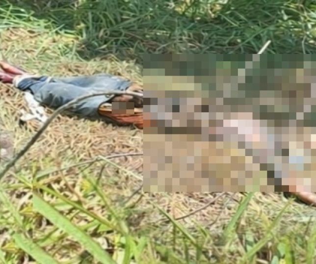 IMAGENS FORTES! Corpo de homem em avançado estado de decomposição é encontrado em área de mata no Distrito Industrial 2, Zona Leste de Manaus. VEJA VÍDEOS