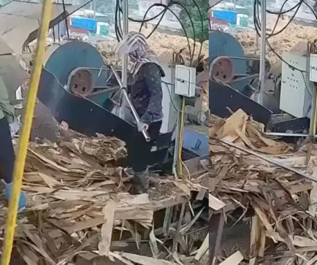 IMAGENS FORTES! Trabalhadora morre após ser puxada por triturador em fábrica de madeira no Vietnã. VEJA VÍDEO
