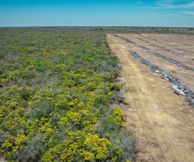 Avanço de monoculturas faz desmatamento disparar quase 3.000% na Chapada do Araripe