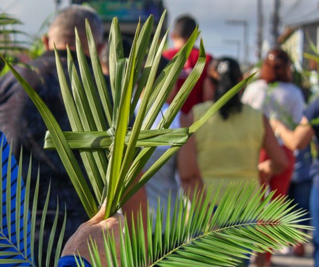 Domingo de Ramos: entenda o significado da data que marca o início da Semana Santa