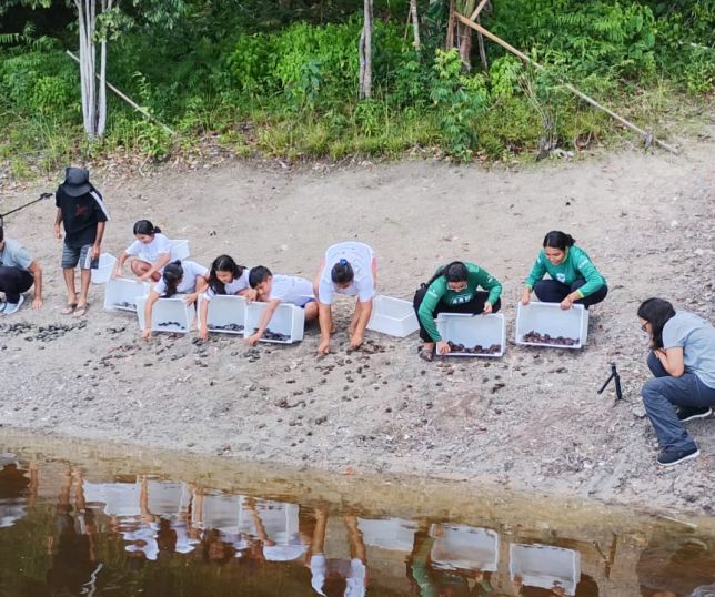 Soltura de quelônios mobiliza comunidades e fortalece conservação na RDS Puranga Conquista
