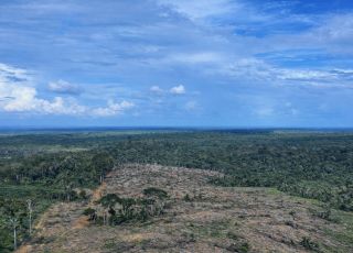 Instituto de Proteção Ambiental do Amazonas embarga área desmatada equivalente a 49 campos de futebol em Apuí