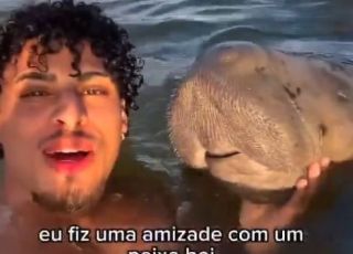 Encontro com peixe-boi viraliza e chama atenção para relação entre humanos e fauna marinha. VEJA VÍDEO