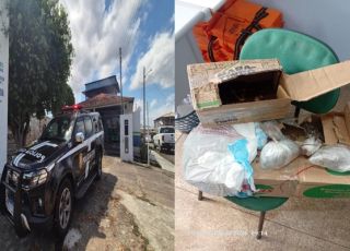 Polícias Civil e Militar prendem homem com maconha do tipo skunk em embarcação em Nhamundá. VEJA  REPORTAGEM DO 'PORTAL DO ZACARIAS' AO VIVO