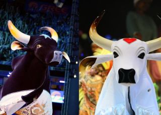 Ensaios de Caprichoso e Garantido em Manaus já têm datas definidas; veja programação