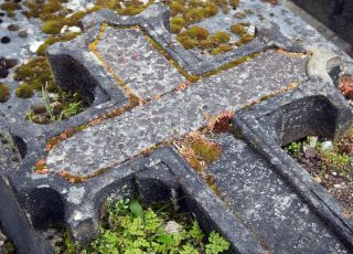 Pedra no quintal ou portal do tempo?