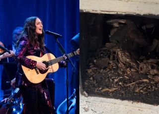 Mulher abre porta nunca usada em casa e faz descoberta assustadora