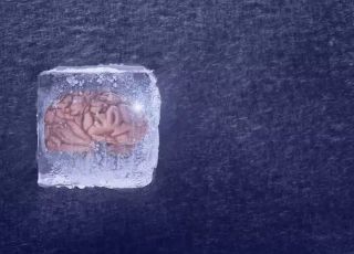 Cérebros congelados podem ter sido reativados em experimento científico