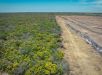 Avanço de monoculturas faz desmatamento disparar quase 3.000% na Chapada do Araripe