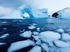 Cientistas descobrem por que o gelo marinho da Antártida está derretendo tão rápido
