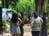 Bosque da Ciência celebra 31 anos com programação gratuita e atividades especiais em Manaus