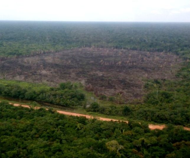Governo acelera obras na BR-319 mesmo sem resolver impasses ambientais